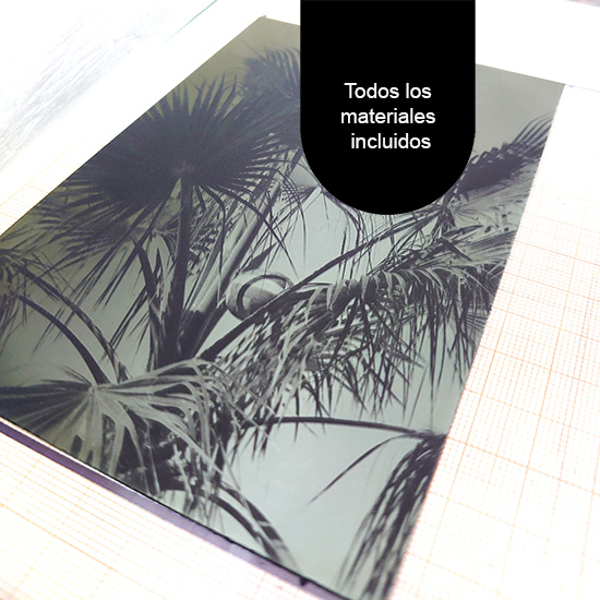 Curso de Grabado con plancha de Fotopolímero - Imagen 30