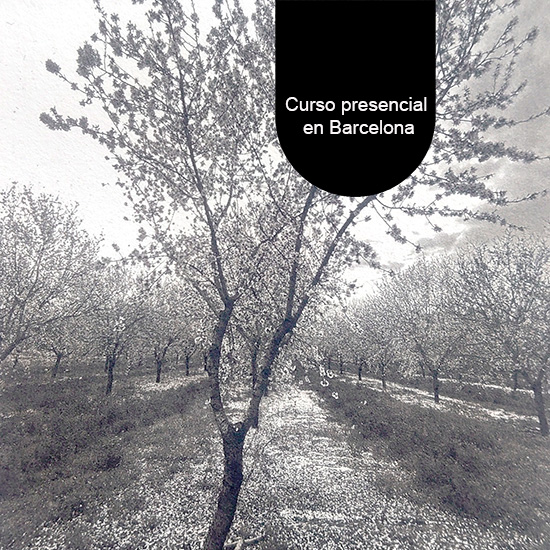 Curso de Grabado con plancha de Fotopolímero - Imagen 33