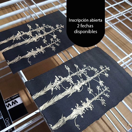 Curso de Grabado con plancha de Fotopolímero - Imagen 34