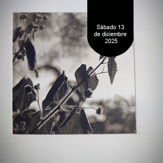 Curso de Grabado con plancha de Fotopolímero - Imagen 2