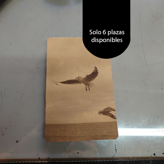 Curso de Grabado con plancha de Fotopolímero - Imagen 28