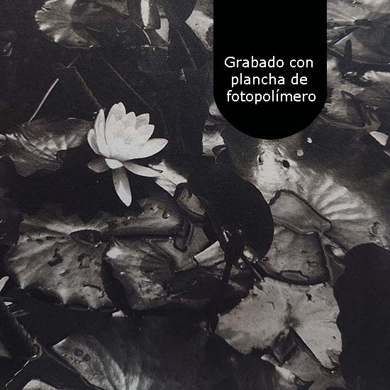 Curso de Grabado con plancha de Fotopolímero - Imagen 7