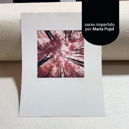 Curso de Fotograbado a todo color - Imagen 26