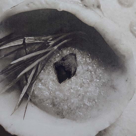 Curso de Grabado con plancha de Fotopolímero - Imagen 5