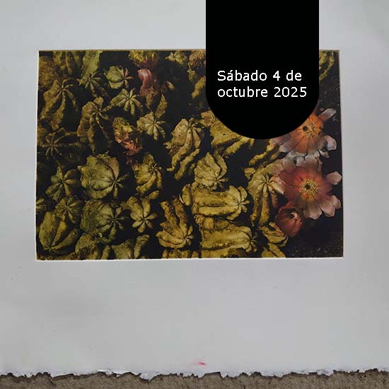 Curso de Fotograbado a todo color - Imagen 2