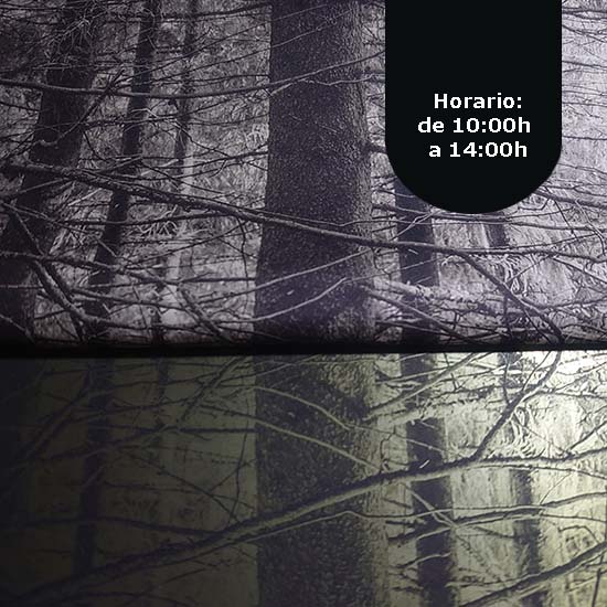 Curso de Grabado con plancha de Fotopolímero - Imagen 6