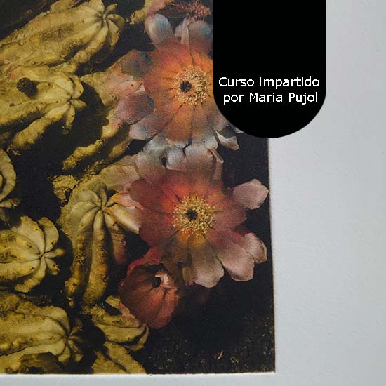 Curso de Fotograbado a todo color - Imagen 8