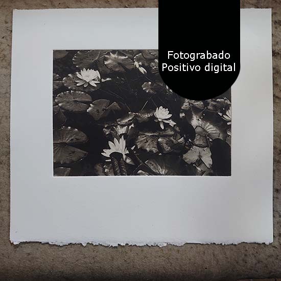Curso de Grabado con plancha de Fotopolímero - Imagen 3