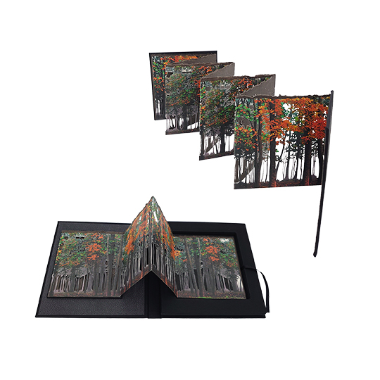 Fin de Verano - Imagen 15