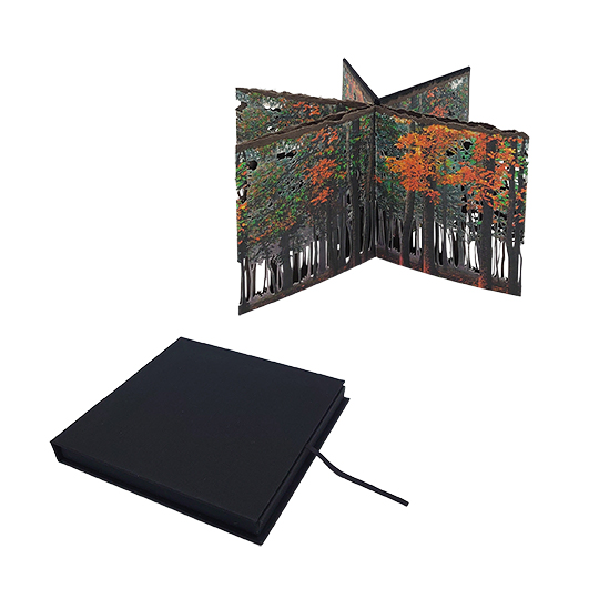 Fin de Verano - Imagen 4