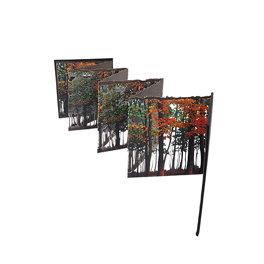 Fin de Verano - Imagen 13