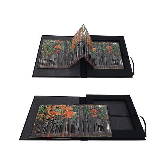 Fin de Verano - Imagen 14