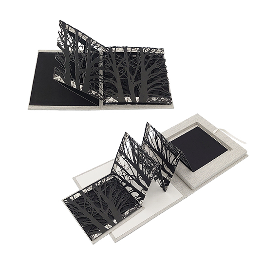 Invierno - Imagen 11