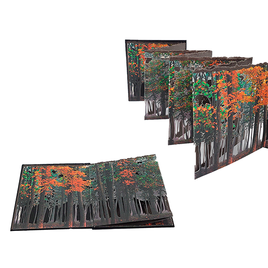 Fin de Verano - Imagen 6