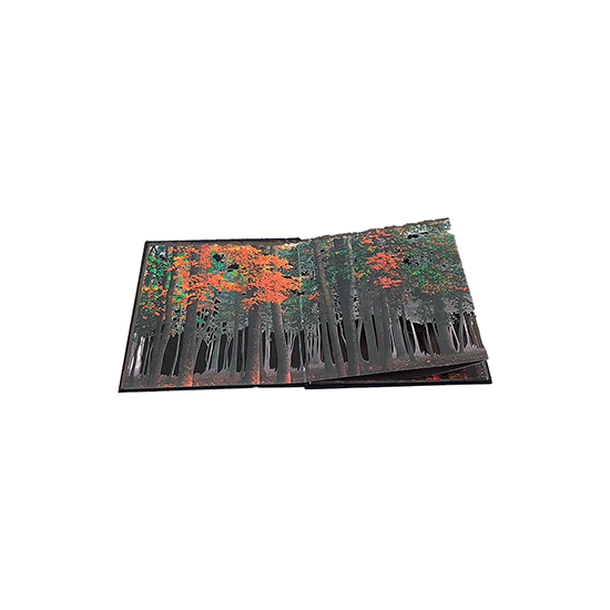 Fin de Verano - Imagen 5