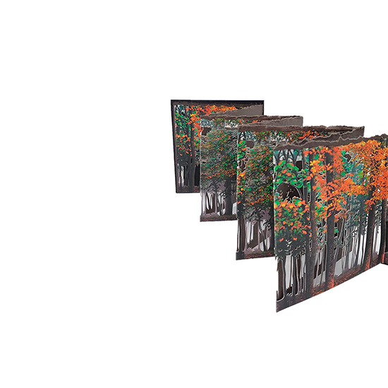 Fin de Verano - Imagen 8