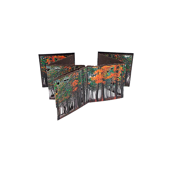 Fin de Verano - Imagen 9