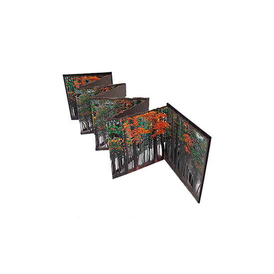 Fin de Verano - Imagen 10