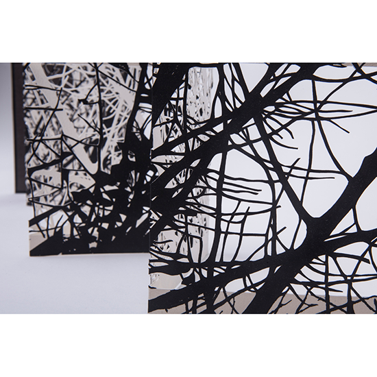 The Woods 3 - Imagen 10