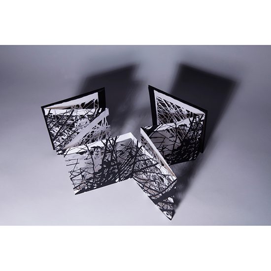 The Woods 3 - Imagen 17