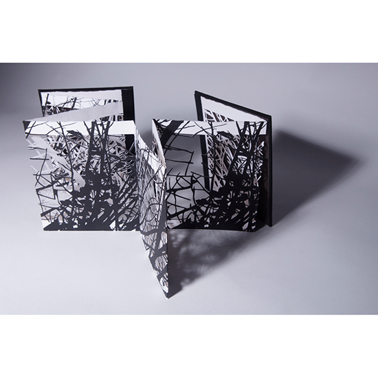 The Woods 3 - Imagen 18