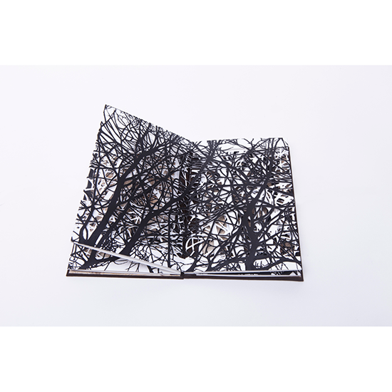 The Woods - Imagen 3