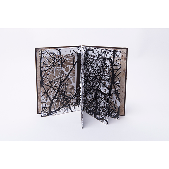 The Woods - Imagen 5