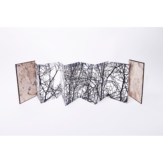 The Woods - Imagen 4