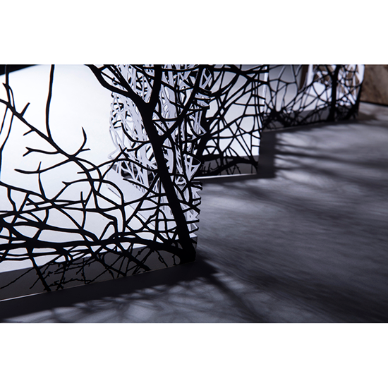 The Woods - Imagen 14