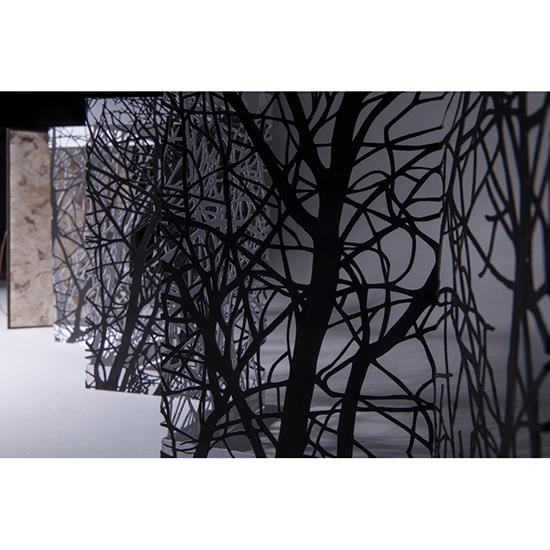 The Woods - Imagen 17