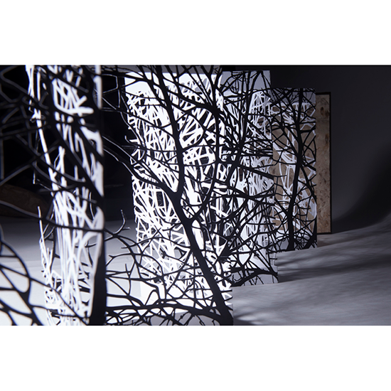 The Woods - Imagen 19