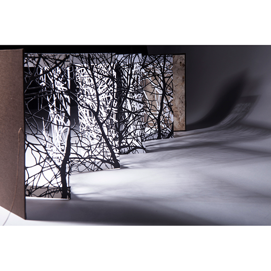 The Woods - Imagen 20