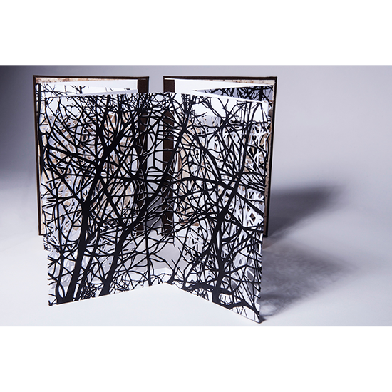 The Woods - Imagen 11