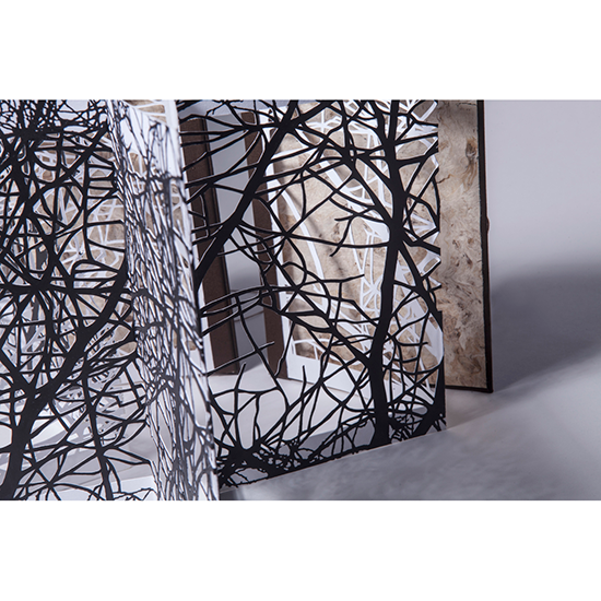 The Woods - Imagen 21