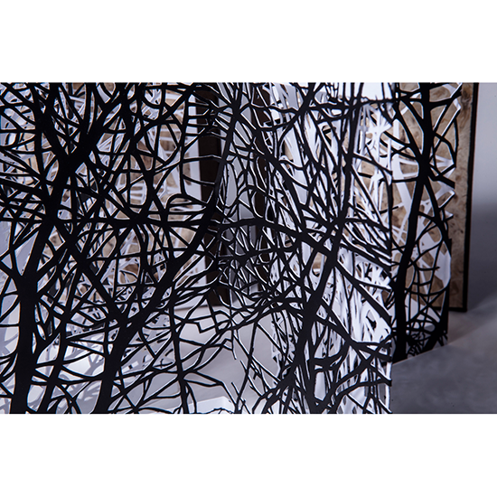 The Woods - Imagen 22