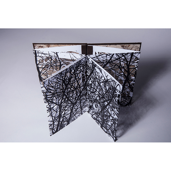 The Woods - Imagen 9