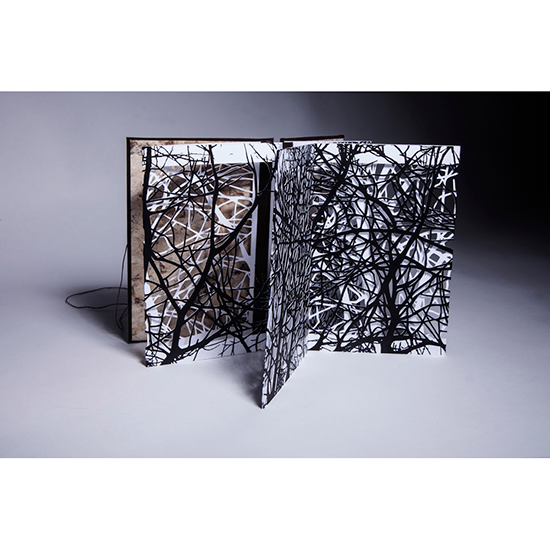 The Woods - Imagen 6