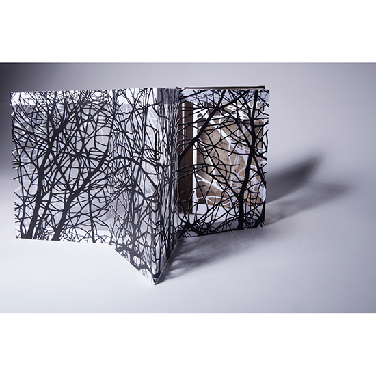 The Woods - Imagen 8