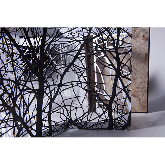 The Woods - Imagen 23