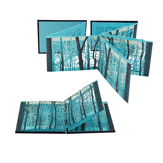 Luz de Luna - Imagen 12