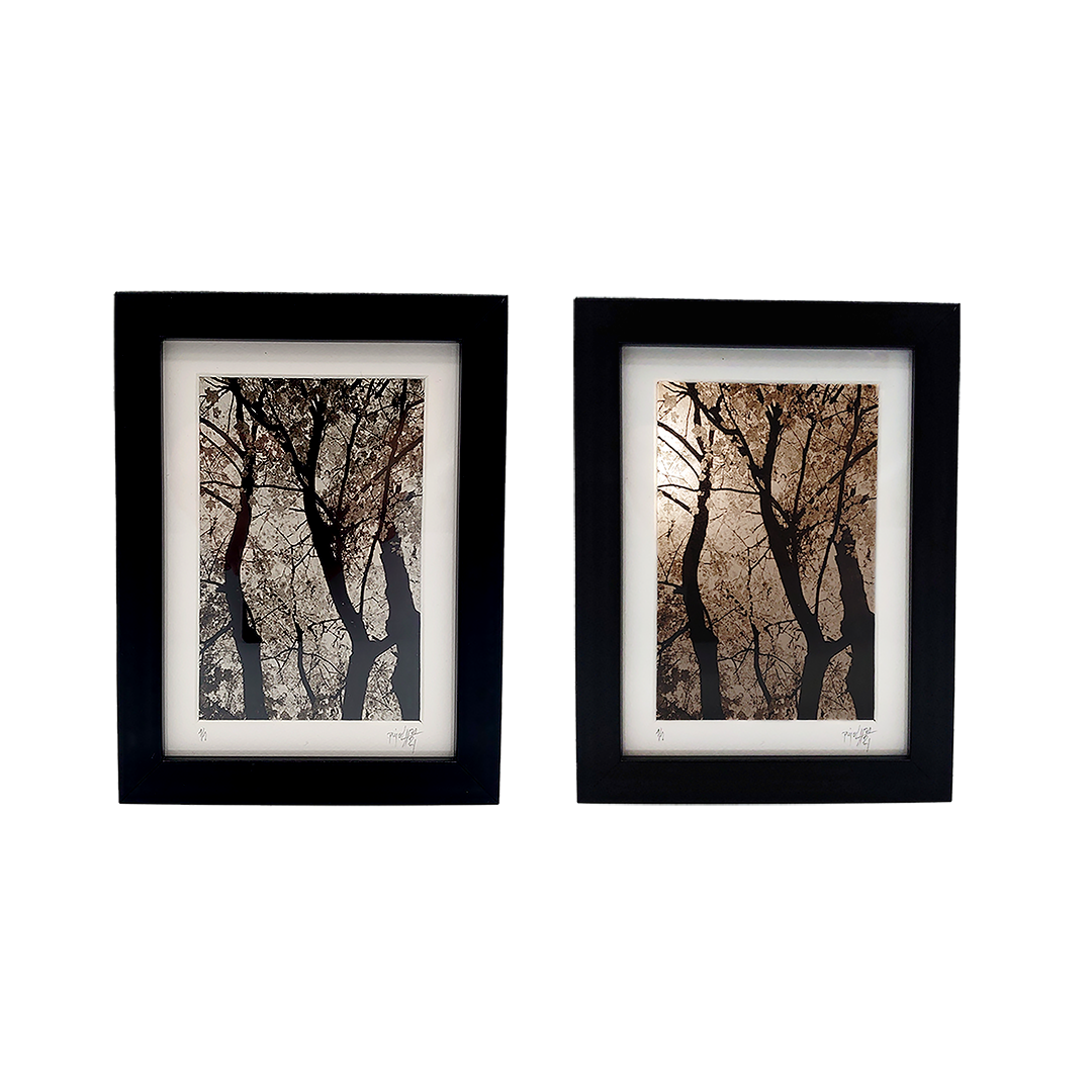 De la Incisión a la Luz "Creación 1" - Imagen 2