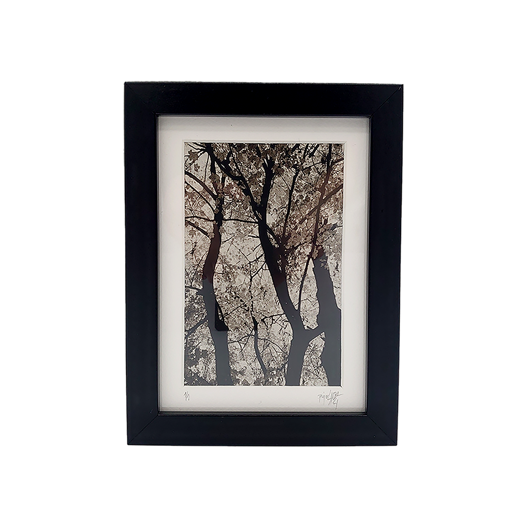 De la Incisión a la Luz "Creación 1" - Imagen 3