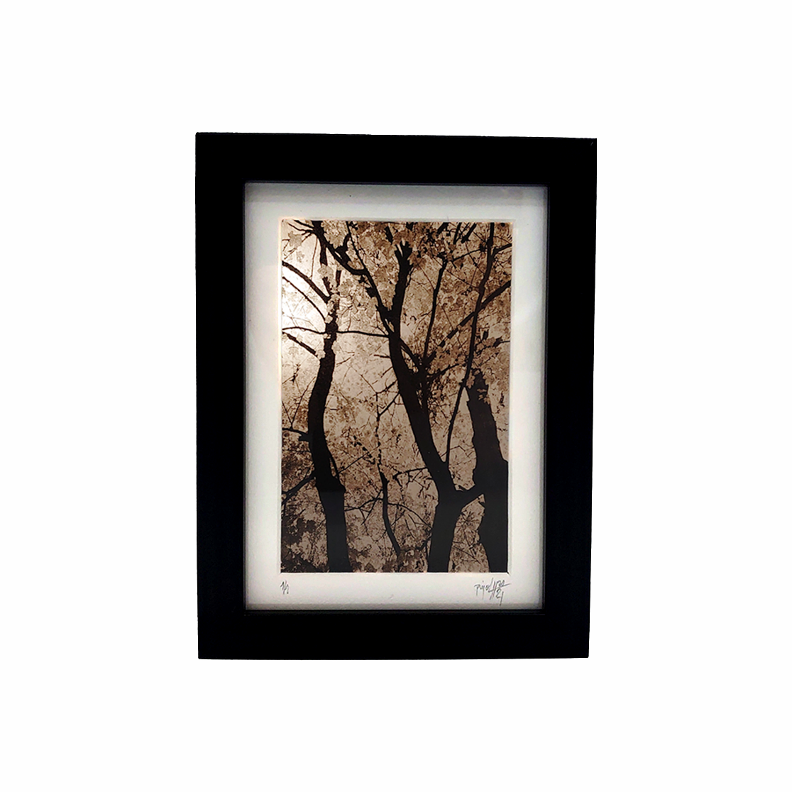 De la Incisión a la Luz "Creación 1"