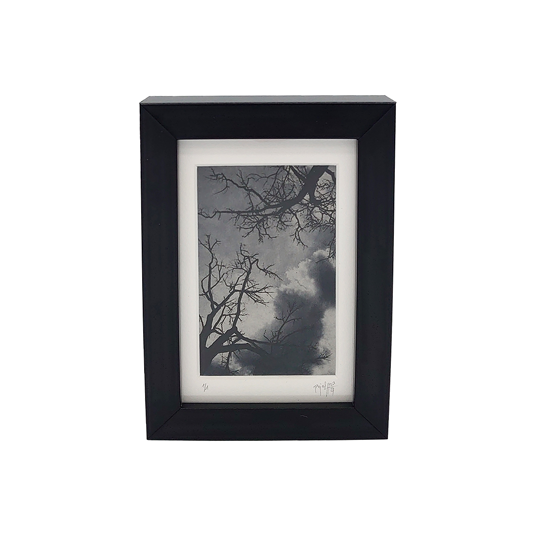 De la Incisión a la Luz "Creación 2" - Imagen 2