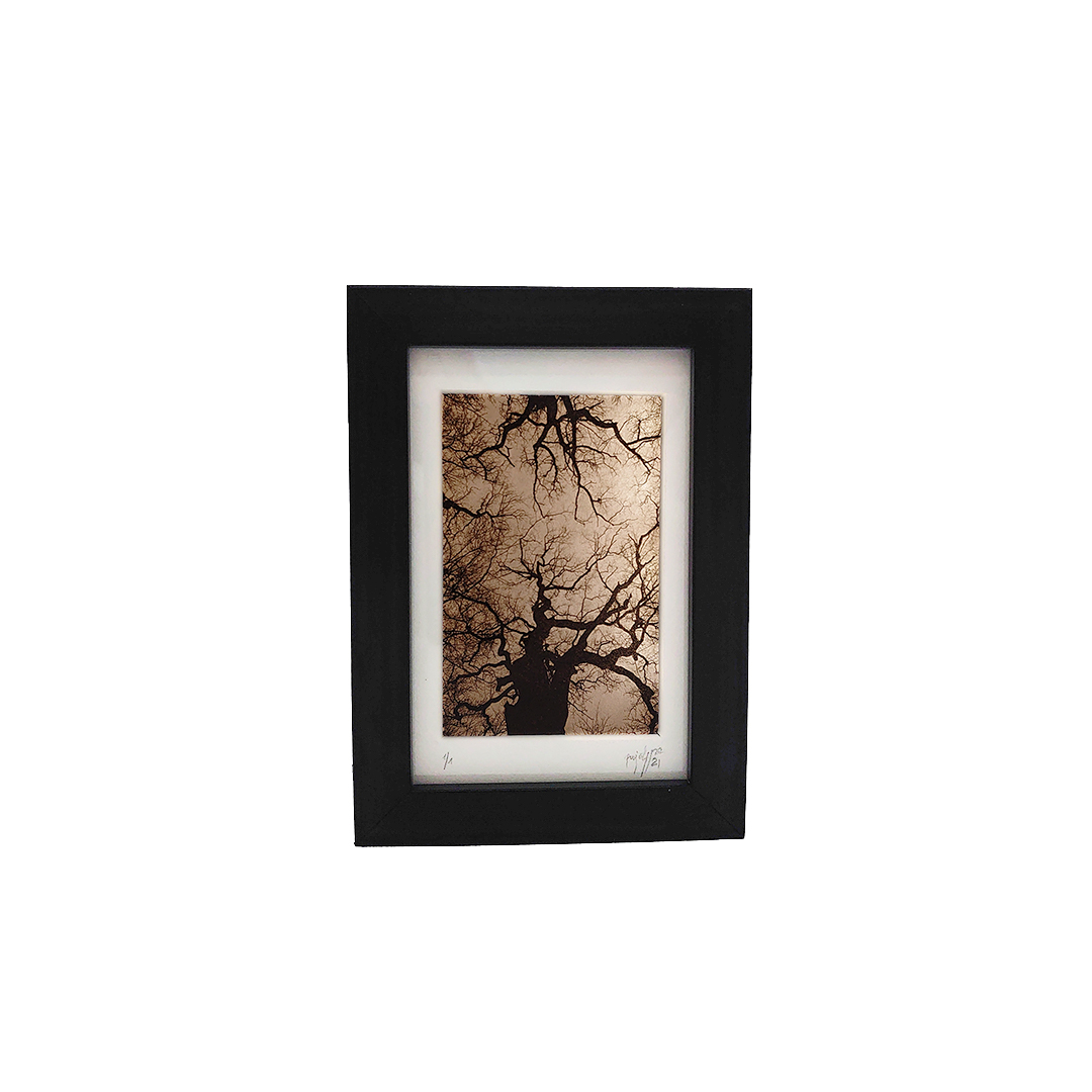 De la Incisión a la Luz "Creación 3"