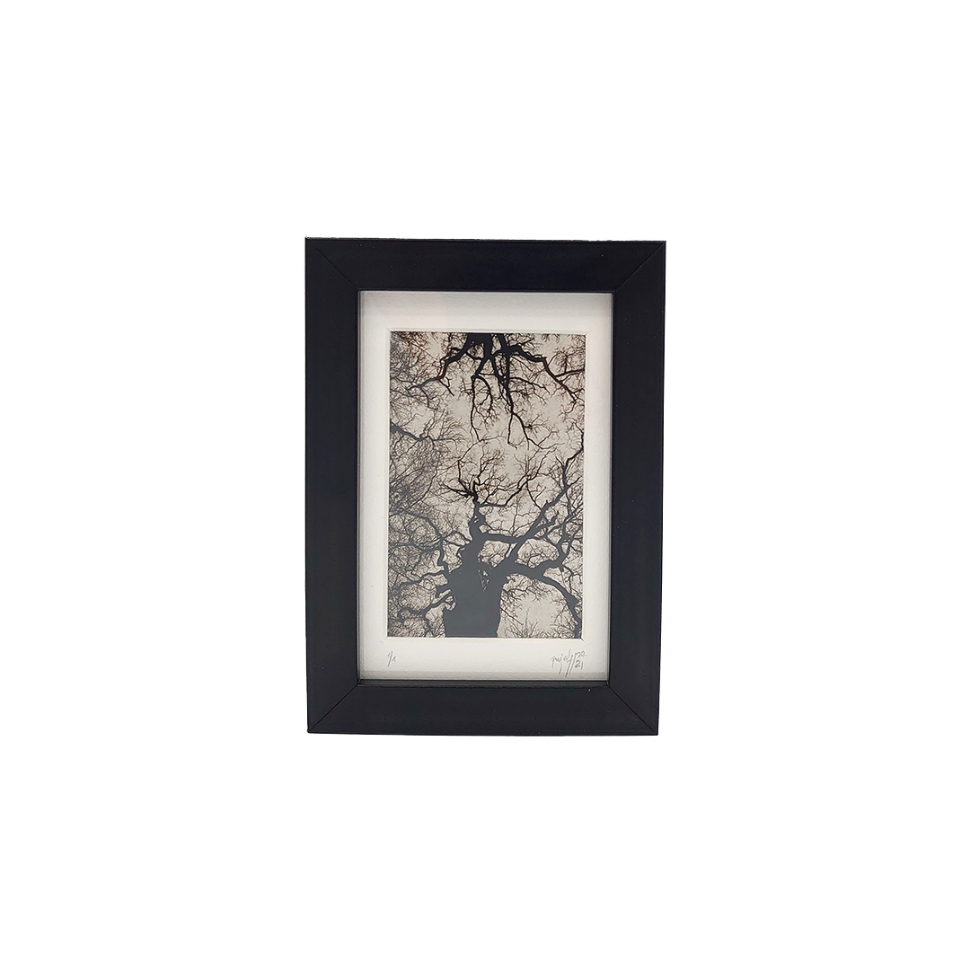 De la Incisión a la Luz "Creación 3" - Imagen 3