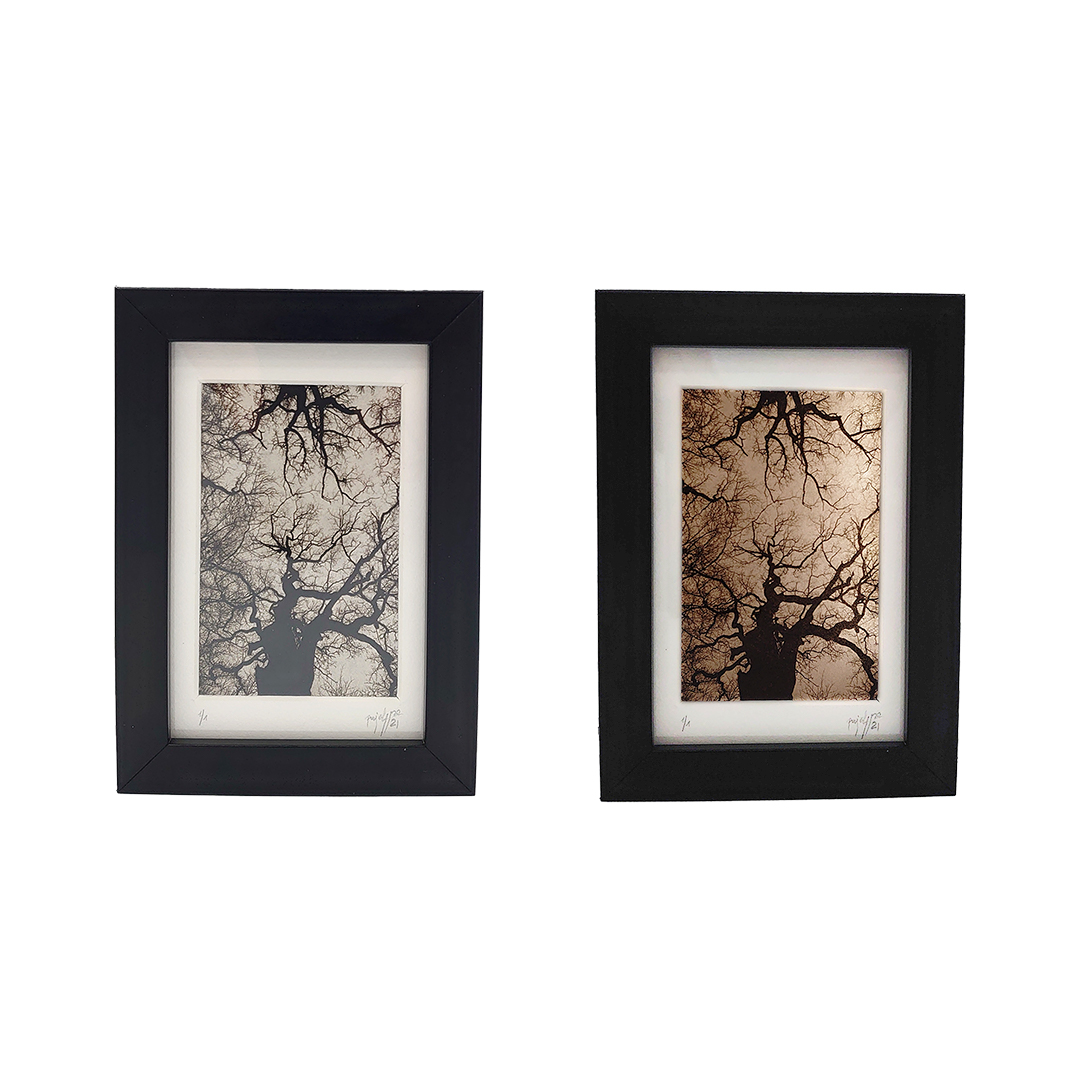 De la Incisión a la Luz "Creación 3" - Imagen 4