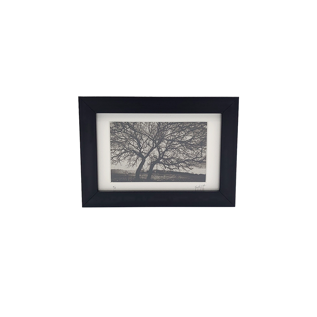 De la Incisión a la Luz "Creación 6" - Imagen 2