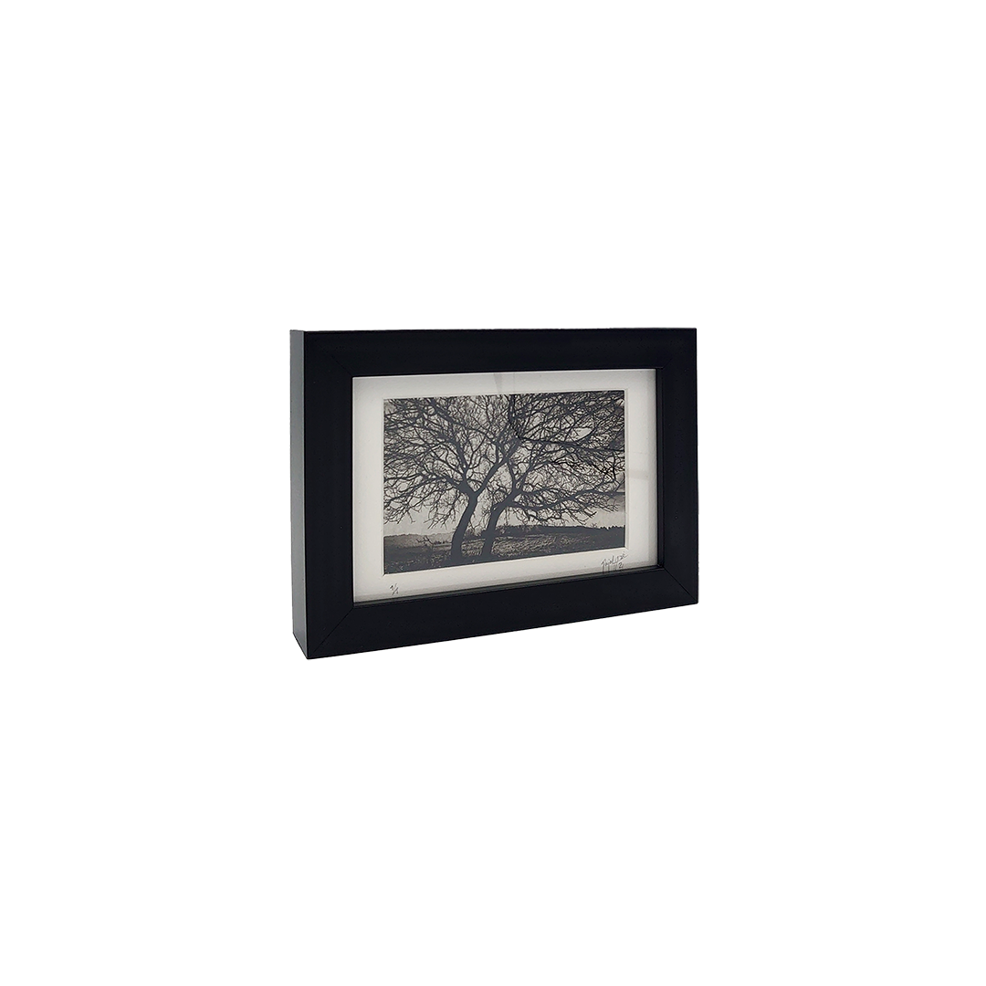 De la Incisión a la Luz "Creación 6" - Imagen 3