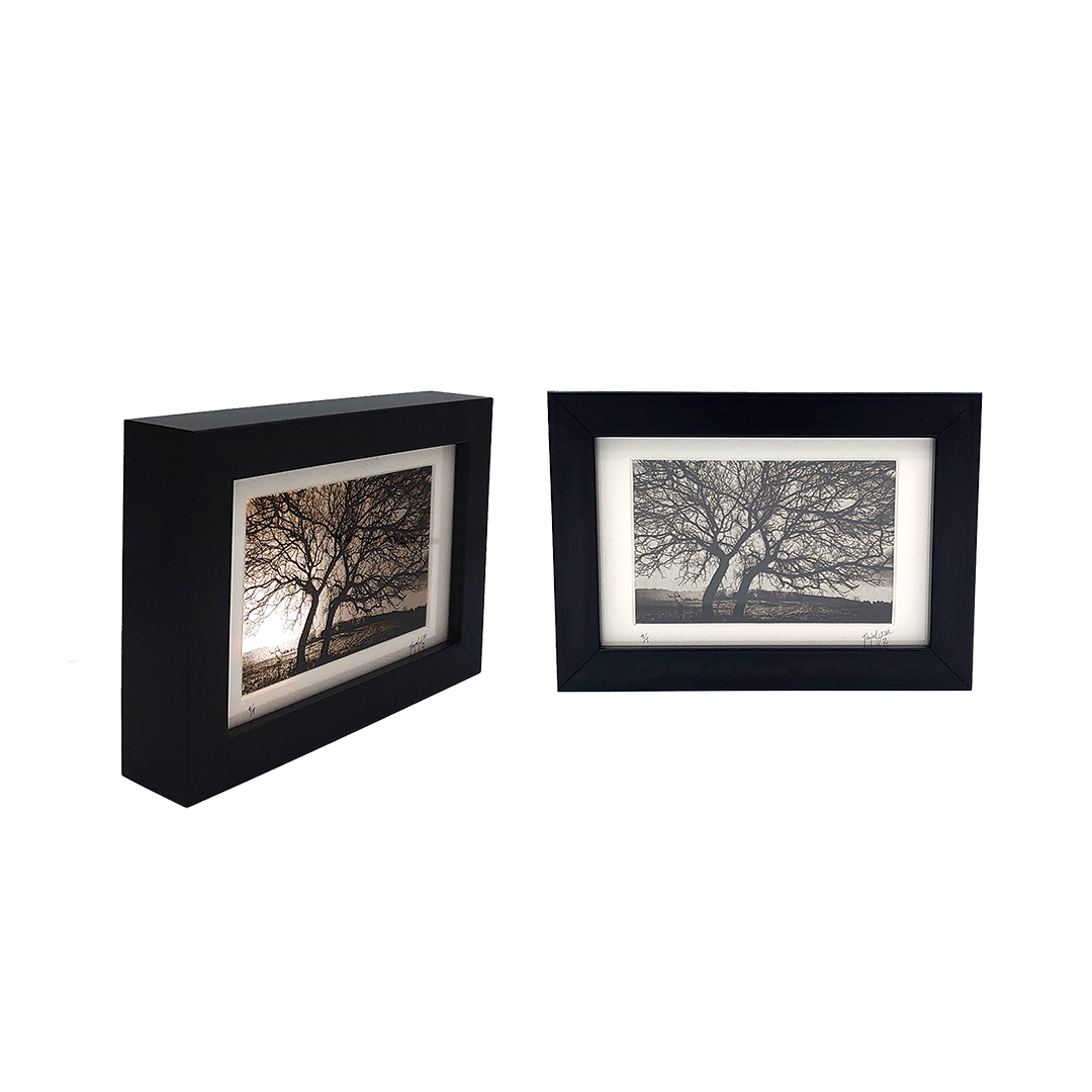 De la Incisión a la Luz "Creación 6" - Imagen 5